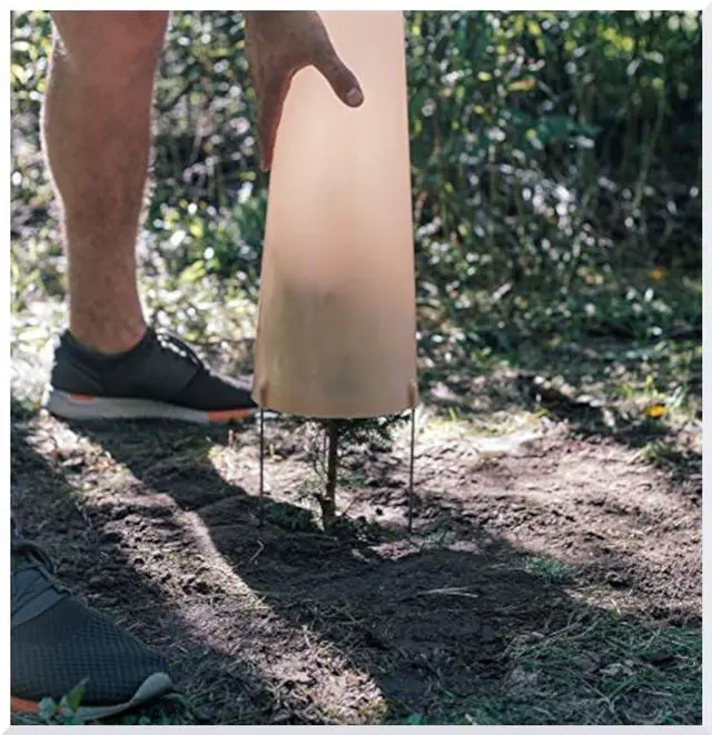 Alt view image 2 of 6 - Seedling Shelter (5)