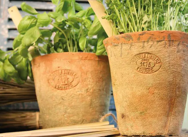 Alt view image 2 of 2 - AT01 Aged Terracotta Round Pots (Set of 3)