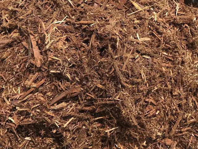 Main image of 100% Natural Cedar Mulch, 40 Quarts Plus 8 Quarts Free!