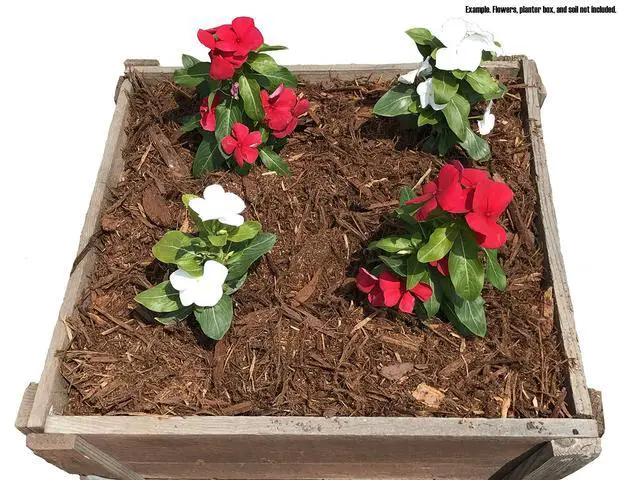 Alt view image 2 of 3 - 100% Natural Cedar Mulch, 40 Quarts Plus 8 Quarts Free!