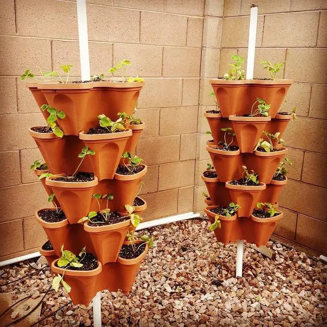 Alt view image 5 of 6 - LARGE 64 Quart Stackable Planter 5-Pack - Grow More In Less Space - Plant Pots and Stack - DIY Vertical Gardening System - For Growing Veggies, Herbs, Garden Greens, Starwberries (Terracotta)