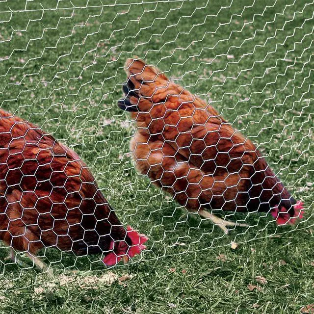 Alt view image 3 of 5 - 1 Inch Twisted Mesh Wire Fence 18 Inches by 150 Feet 20 Gauge Galvanized Steel for Poultry Netting | Chicken Coops | Garden Protection and Small Animal Enclosures