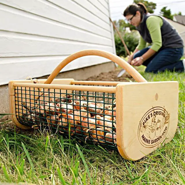 Alt view image 4 of 5 - Original Garden Hod, Harvest Basket/Garden Basket - 19 x 11 x 11 Inches, Holds 15 Quarts