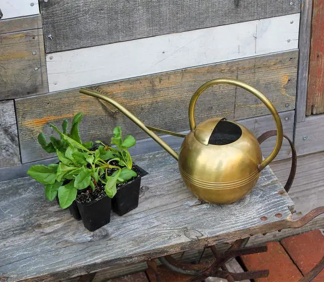 Alt view image 3 of 6 - Achla WC-01 Designs Watering Can, 1L, Brass