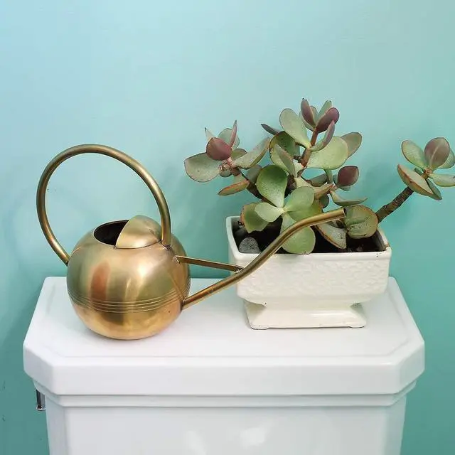 Alt view image 4 of 6 - Achla WC-01 Designs Watering Can, 1L, Brass