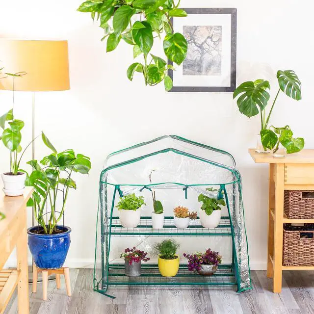 Alt view image 3 of 6 - GreenThumb Greenhouse With Vinyl Cover, Perfect For Classroom, Home, and Herb Gardens- Indoor/Outdoor Gardening