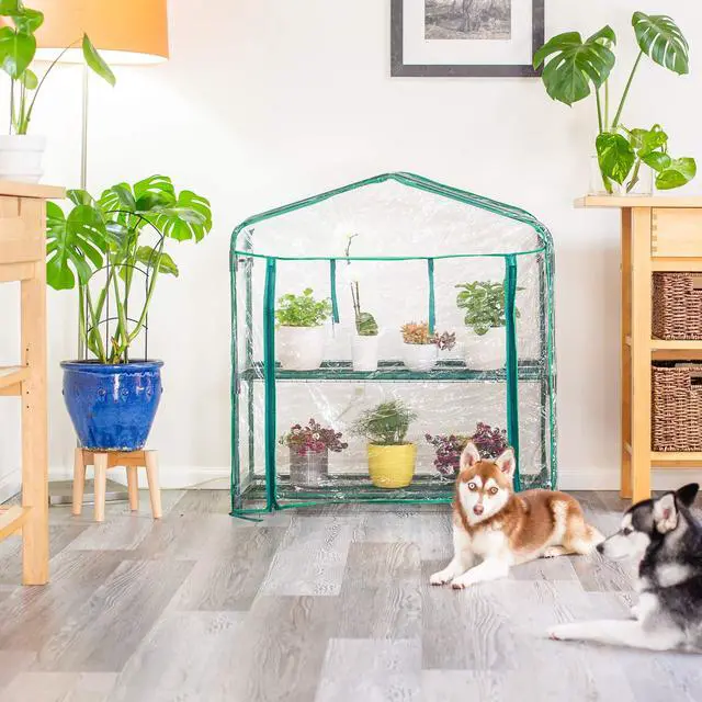 Alt view image 6 of 6 - GreenThumb Greenhouse With Vinyl Cover, Perfect For Classroom, Home, and Herb Gardens- Indoor/Outdoor Gardening