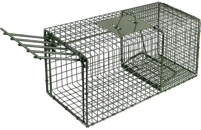 Main image of Heavy Duty Medium Cage Trap