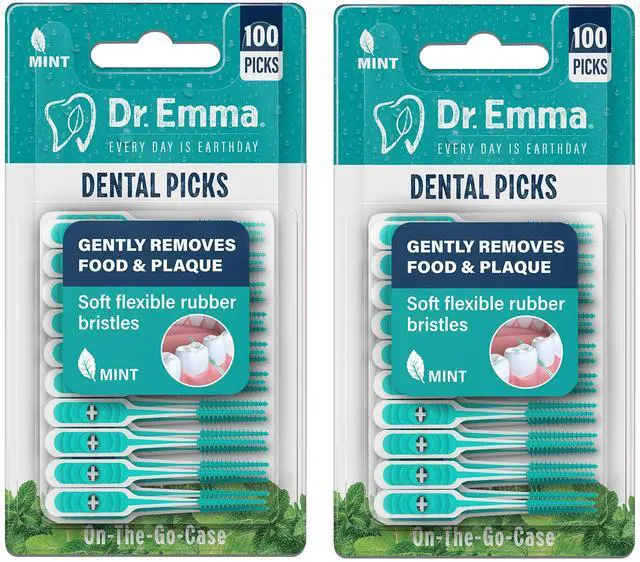 Main image of Dental Picks Mint Brush Picks 100Ct/Pack, 2 Packs (200Ct)