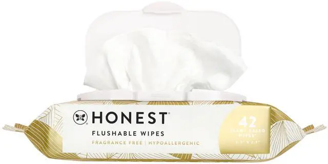 Main image of Hypoallergenic Flushable Wipes for Sensitive Skin, Gilded Wings, 42 Count