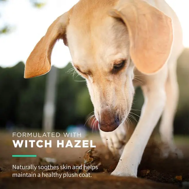 Alt view image 3 of 7 - Wet Ones for Pets Extra Gentle Dog Wipes with Witch Hazel - Fragrance-Free, Hypoallergenic Pet Grooming Wipes for Snout, Eye, and Ear Areas, Sensitive Skin, 30 Count