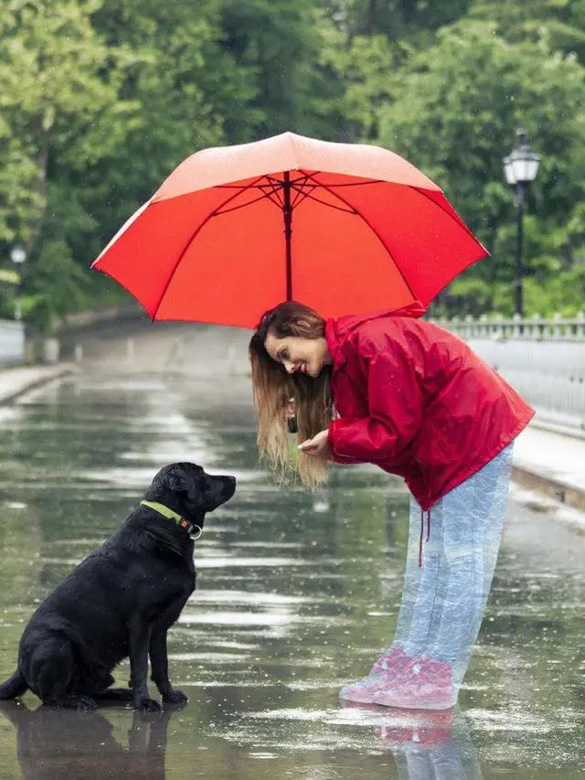Alt view image 6 of 6 - Rain Pants,4PCS Disposable Rain Pants With Shoe Cover,Disposable Raincoat With Connected Feet, Men and Women Waterproof Rain Ponchos for Adults (Blue+Transprant)