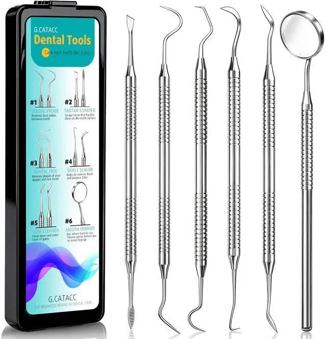 Main image of Dental Tools, Dental Pick for Teeth Cleaning, Stainless Steel Hygiene Kit with Tooth Scraper Plaque Tartar Remover - with Case