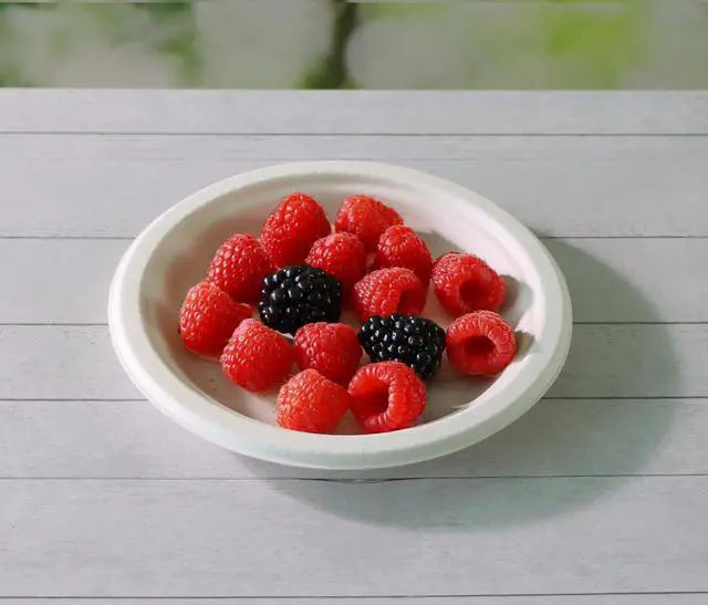 Alt view image 4 of 6 - 6 inch Small Compostable Dessert Plates,100 Count Heavyduty Sugarcane/Bagasse and Bamboo Fibre Biodegradable Disposable Paper Plate