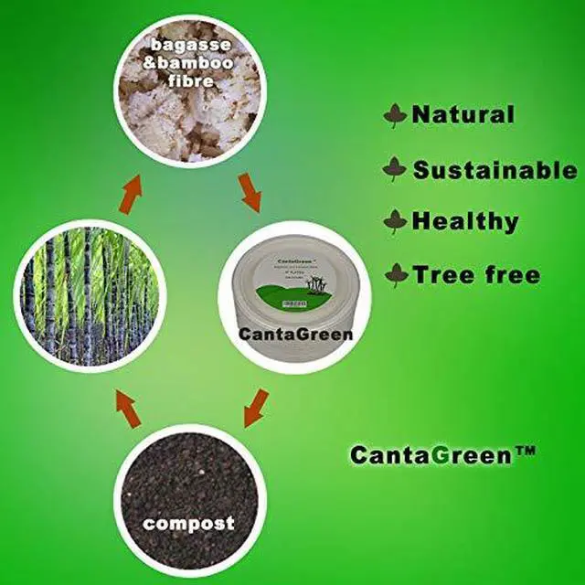 Alt view image 6 of 6 - 6 inch Small Compostable Dessert Plates,100 Count Heavyduty Sugarcane/Bagasse and Bamboo Fibre Biodegradable Disposable Paper Plate