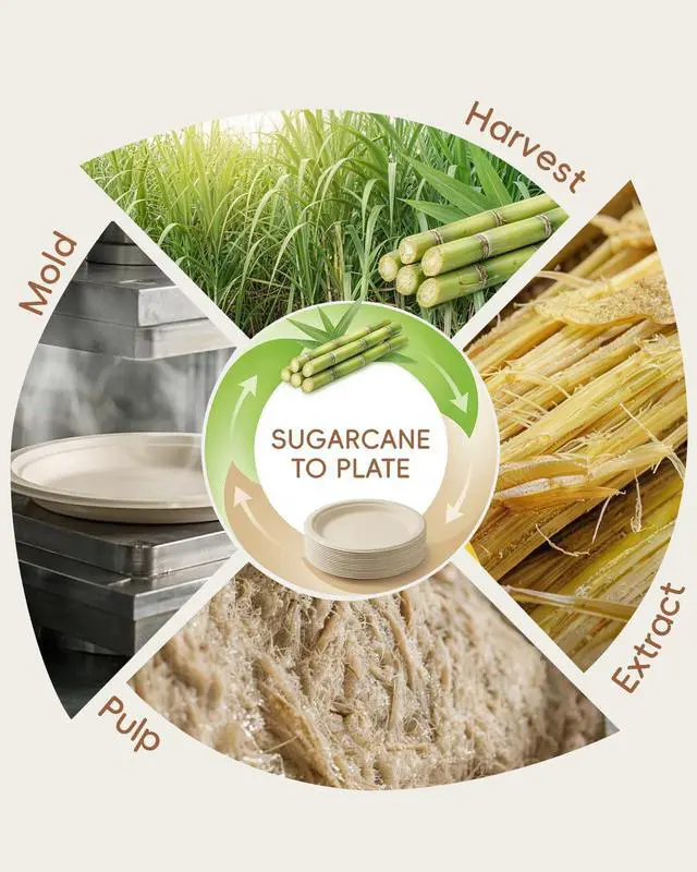 Alt view image 5 of 7 - 6 Inch Natural Compostable Plates 100 Pack, 100% FSC Certified Unbleached Bagasse Paper Plates, Heavy Duty Eco Friendly Disposable Plates for Party, Wedding, BBQ, Catering & Everyday Use