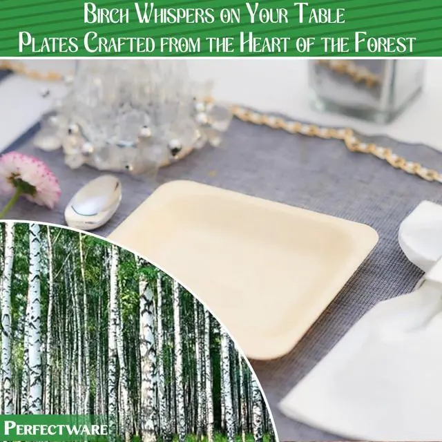 Alt view image 3 of 6 - Earth Friendly All Natural Premium Quality 100% Compostable & Biodegradable 5 Inch Birch Wood Disposable Plates. Great for Parties, Wedding Events (5.5" x 5.5" Appetizer Plate) 25 pc