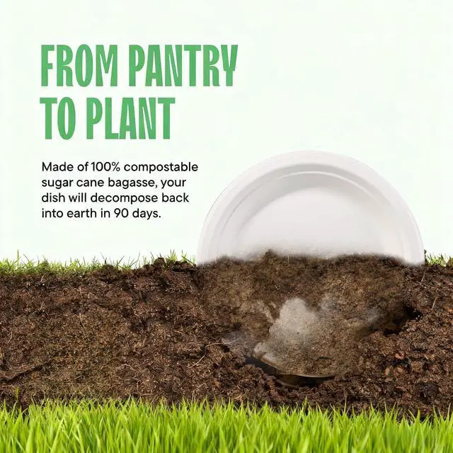 Alt view image 5 of 7 - 100% Compostable Paper Plates 7 Inch, 60-Pack Heavy Duty Paper Plates Bulk,Biodegradable Bagasse,Eco-Friendly Disposable Dessert Plate for BBQ,Picnic,Party (BPI Certified,Microwaveable)