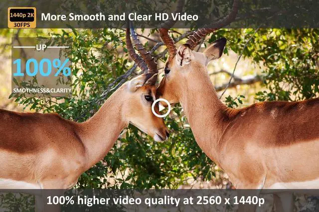 Alt view image 5 of 7 - P60 Pro Trail Camera, 2K 48MP, Clear 100ft Night Vision Motion Activated, Hunting Game Camera with Fast 0.1s Trigger Speed, IP66 Waterproof
