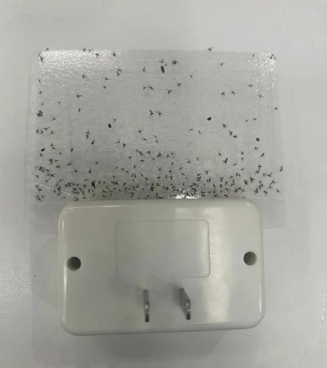 Alt view image 7 of 7 - Fruit Fly Traps for House Indoors Gnats, 2 Device+10 Refills