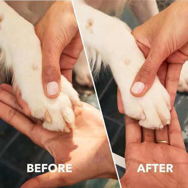 Alt view image 4 of 7 - PawControl 7760-PET Dog Nail Grinder and Trimmer - Cordless & Rechargeable Pet Grooming Tool Kit - Safe for Dogs, Cats, and Small Animals (Amazon Exclusive)