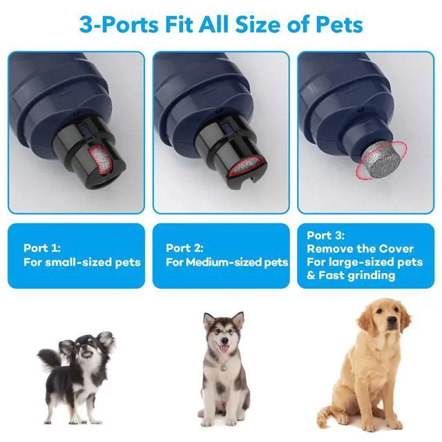 Alt view image 5 of 7 - Dog Nail Grinder with 2 LED Light - New Version 2-Speed Powerful Electric Pet Nail Trimmer Professional Quiet Painless Paws Grooming & Smoothing for Small Medium Large Dogs and Cats (Blue)