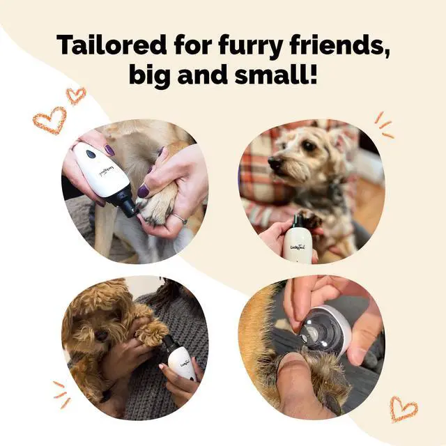 Alt view image 5 of 7 - Pet Nail Grinder for Dogs and Cats - Super Quiet and Low Vibration Electric Dog Nail Grinder with 2 LED Lights - USB Rechargeable and Cordless - 2 Speeds - Small to Large Pets