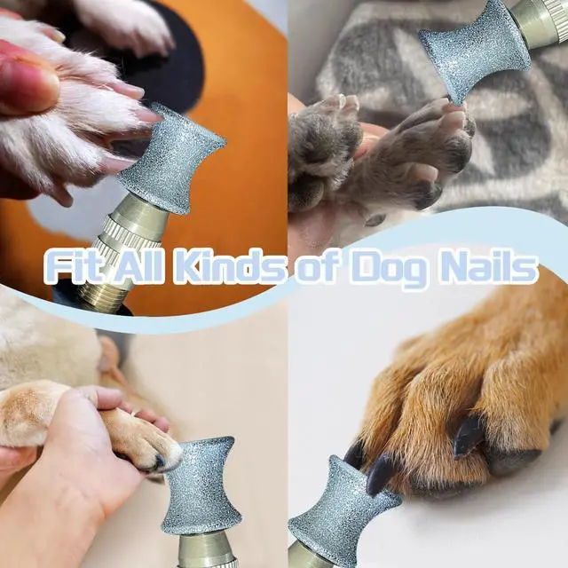 Alt view image 5 of 5 - Diamond Rotary Nail Grinder Bits for Dog, 2PCS Diamond Dog Nail Grinder Head for Dremel,1/8" Replacement Grinder Wheel Pets Nail Grooming Tools for Medium Large Dogs