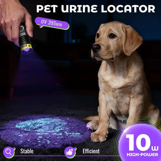 Alt view image 3 of 7 - Flashlight UV Black Light 395nm Super Bright LED Ultraviolet Light