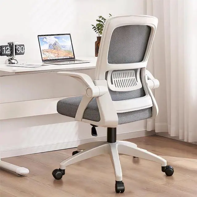 Main image of Office Chair, Ergonomic Desk Breathable Mesh Swivel Chair with Flip-Up Arms and Lumbar Support Computer for Home Office