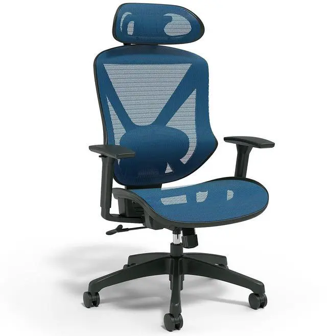 Main image of Ergonomic Task Chair, Mesh, Ergonomic, Lumbar Support, Blue