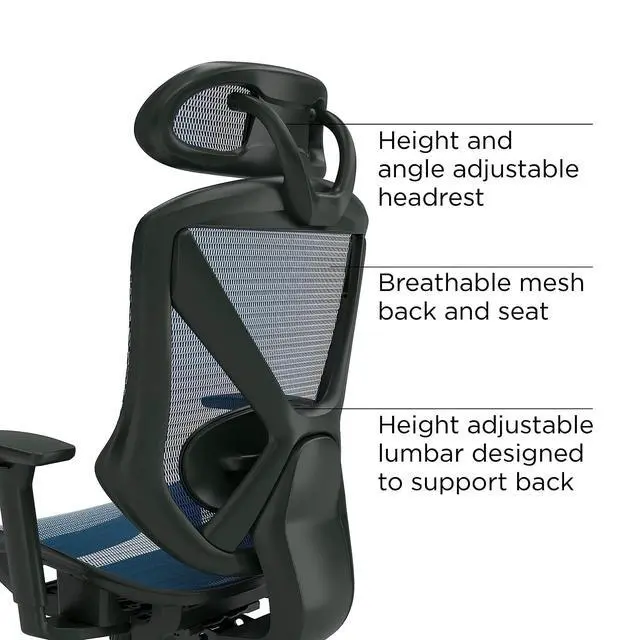 Alt view image 4 of 6 - Ergonomic Task Chair, Mesh, Ergonomic, Lumbar Support, Blue