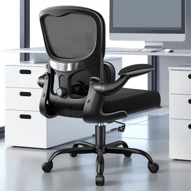 Main image of Ergonomic Office Chair, Breathable Mesh Ergonomic Desk Chair with Adjustable Lumbar Support, Flip-up Armrests, Computer Chairs Comfortable for Home, Office, Work, 300lbs, Black, Upgrade
