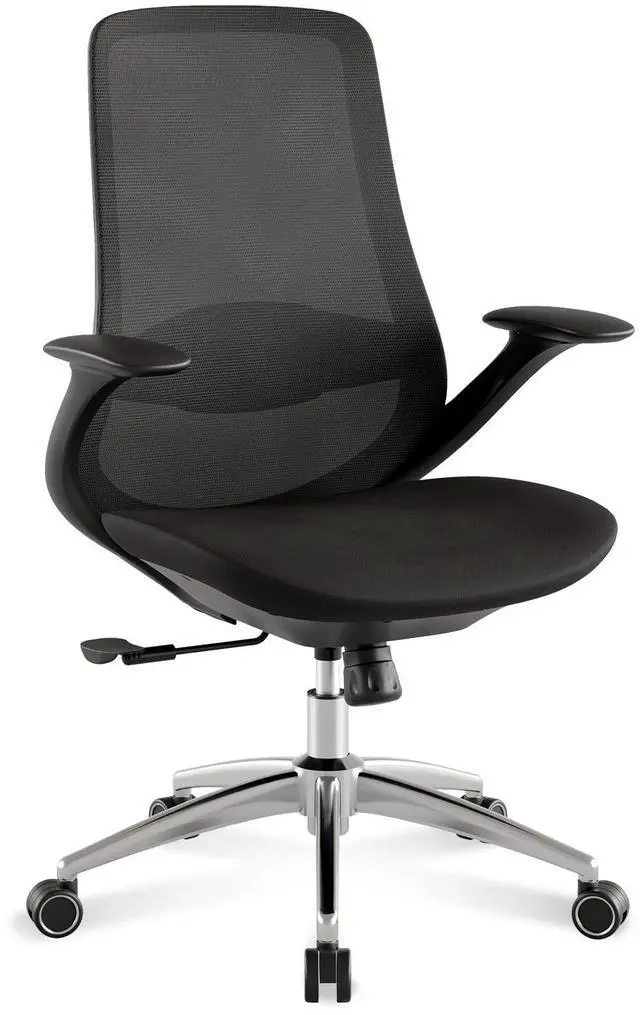 Main image of BV Ergonomic Office Chair, High Back Executive Desk Chair with 2D Armrests,Adjustable Lumbar Support, Breathable Mesh Computer Chair for Home Office & Gaming,Black