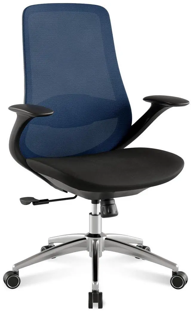 Main image of BV Ergonomic Office Chair, High Back Executive Desk Chair with 2D Armrests,Adjustable Lumbar Support, Breathable Mesh Computer Chair for Home Office & Gaming,Blue