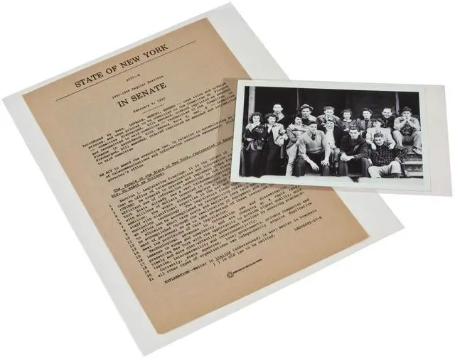 Main image of 3 mil Archival Polyester L-Sleeves for Photos & Documents (100-Pack) - 9 x 14"