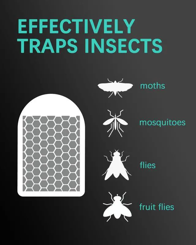 Alt view image 3 of 7 - 24 Pack Refill Glue Card Compatible with LiBa FT06 Flying Insect Trap, Replacement Sticky Glue Boards for Fruit Fly Traps for Indoors