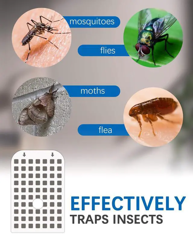 Alt view image 3 of 7 - 10 Pack Fly Trap Indoor Refill Glue Cards Compatible with DFAGIE GS6 Plug-in Flying Insect Trap, Replacement Adhesive Cards for Mosquito Fruit Fly Moths Gnat Trap for House