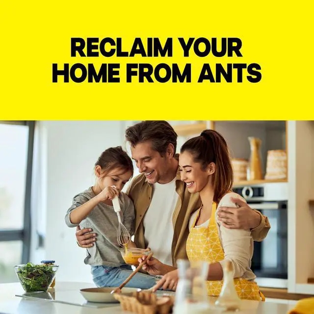 Alt view image 4 of 7 - Ant Killer Baits, Child Resistant Bug Killer for Indoor Home Use, 0.24 Oz, 8 Count
