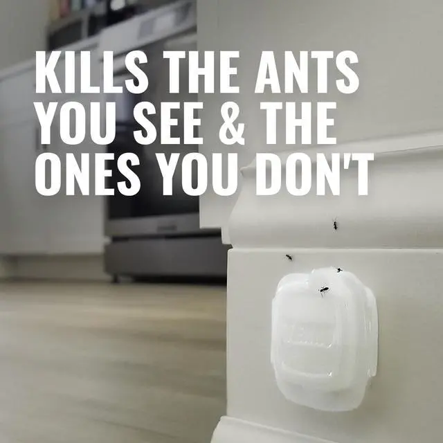 Alt view image 4 of 7 - Multi-Surface Liquid Ant Baits, 4-Pack, Indoor Bait Stations for Home
