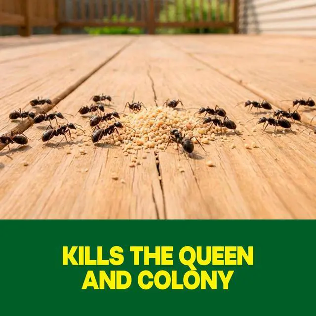 Alt view image 2 of 5 - Outdoor Liquid Ant Bait, Starts Killing Listed Ants Within 24 Hours, Effective Outdoors, Pre-Filled and Ready-to-Use, 8 Bait Stations Per Pack, 2 fl oz