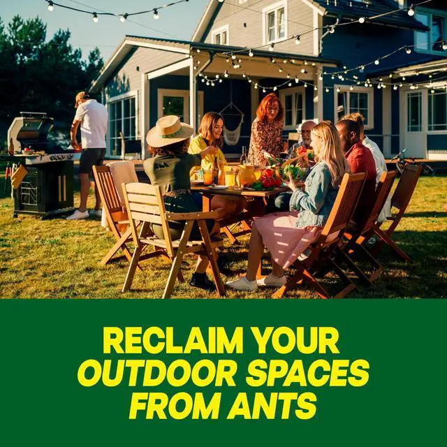 Alt view image 3 of 5 - Outdoor Liquid Ant Bait, Starts Killing Listed Ants Within 24 Hours, Effective Outdoors, Pre-Filled and Ready-to-Use, 8 Bait Stations Per Pack, 2 fl oz