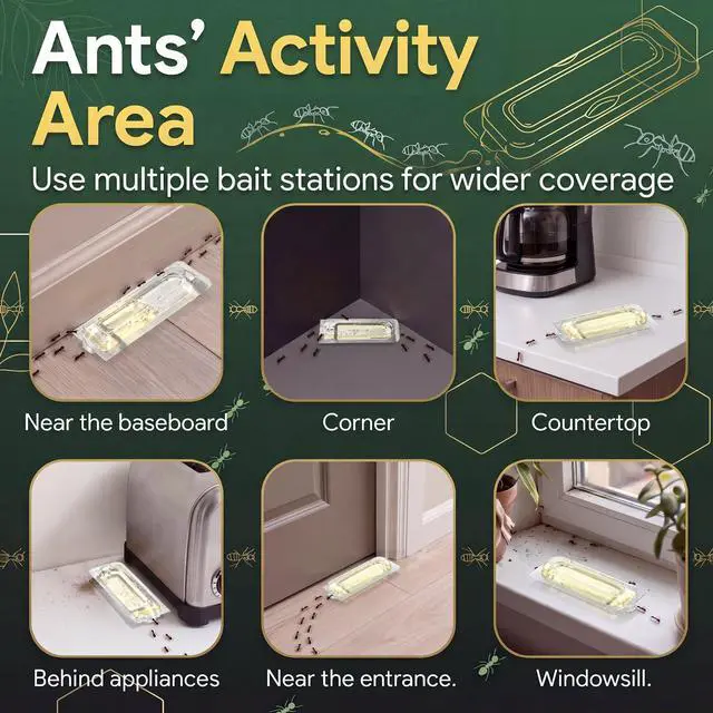 Alt view image 4 of 7 - 12 Count Liquid Ant Bait Stations, Spill-Resistant Indoor Ant Bait System for Common Household Ants, Ready-to-Use Ants Traps for Home, Kitchen, Bathroom & Office