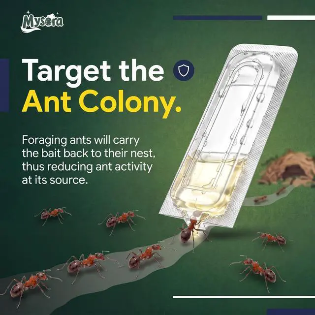 Alt view image 2 of 7 - 12 Count Liquid Ant Bait Stations, Spill-Resistant Indoor Ant Bait System for Common Household Ants, Ready-to-Use Ants Traps for Home, Kitchen, Bathroom & Office