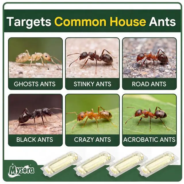Alt view image 7 of 7 - 12 Count Liquid Ant Bait Stations, Spill-Resistant Indoor Ant Bait System for Common Household Ants, Ready-to-Use Ants Traps for Home, Kitchen, Bathroom & Office