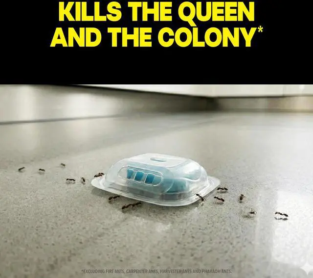 Alt view image 2 of 7 - MAX Liquid Ant Bait - Ant Traps Indoor and Outdoor Use Insect Repellent & Pest Control That Kills Ants Where They Breed - 12 Count