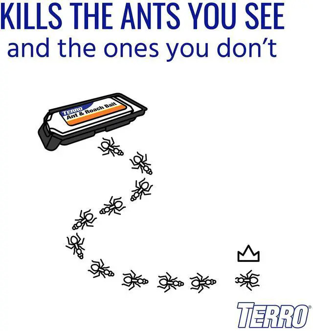 Alt view image 4 of 7 - Ant & Roach Bait, 4-Pack, Indoor Ant Killer and Roach Killer