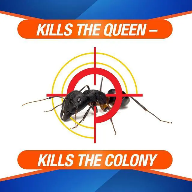 Alt view image 6 of 7 - Ant Bait Traps, Outdoor & Indoor Ant Killer, 4 Metal Stations with 4 Food-Based Attractants, Child-Resistant Design, Formulated with Abamectin B1, Ready-to-Use Bait Station