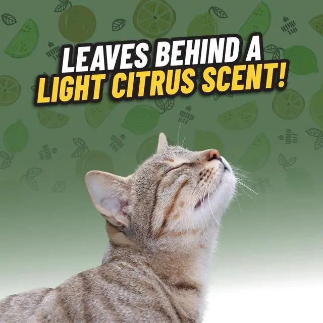 Alt view image 4 of 6 - Ghosted Pet Odor Eliminator 16 Oz Pet Smell Neutralizer for Car Interior, Carpet, Upholstery, Fabric Seats, Home, Furniture, Citrus Scent Spray Cleaner