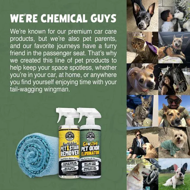 Alt view image 6 of 6 - Ghosted Pet Odor Eliminator 16 Oz Pet Smell Neutralizer for Car Interior, Carpet, Upholstery, Fabric Seats, Home, Furniture, Citrus Scent Spray Cleaner